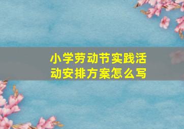 小学劳动节实践活动安排方案怎么写