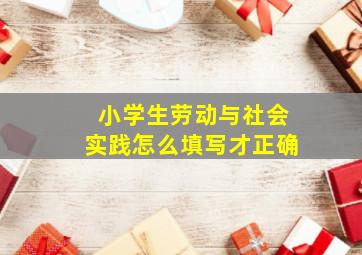 小学生劳动与社会实践怎么填写才正确