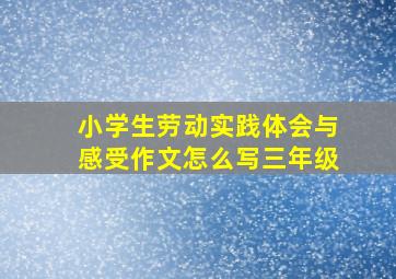 小学生劳动实践体会与感受作文怎么写三年级