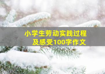 小学生劳动实践过程及感受100字作文