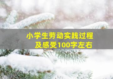 小学生劳动实践过程及感受100字左右