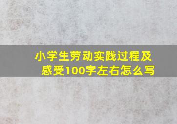 小学生劳动实践过程及感受100字左右怎么写