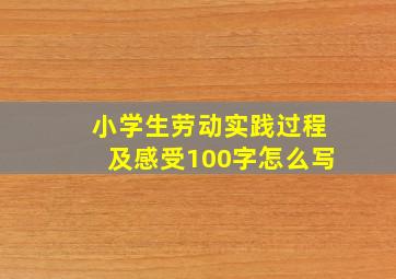 小学生劳动实践过程及感受100字怎么写