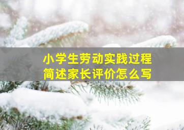 小学生劳动实践过程简述家长评价怎么写