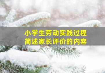 小学生劳动实践过程简述家长评价的内容