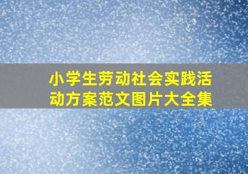 小学生劳动社会实践活动方案范文图片大全集