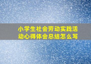 小学生社会劳动实践活动心得体会总结怎么写