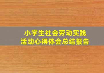 小学生社会劳动实践活动心得体会总结报告