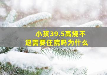 小孩39.5高烧不退需要住院吗为什么