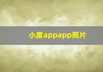 小度appapp照片