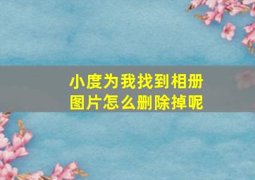 小度为我找到相册图片怎么删除掉呢