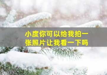 小度你可以给我拍一张照片让我看一下吗