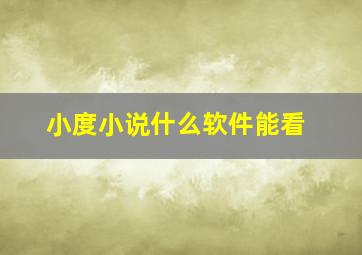 小度小说什么软件能看