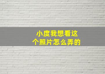 小度我想看这个照片怎么弄的