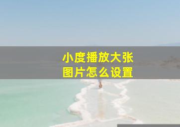 小度播放大张图片怎么设置