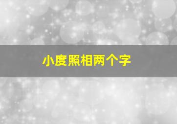 小度照相两个字