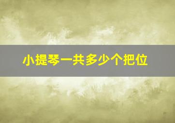 小提琴一共多少个把位