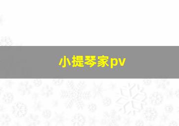 小提琴家pv