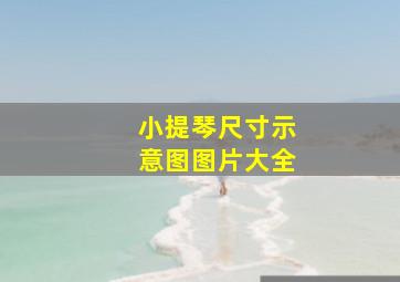 小提琴尺寸示意图图片大全