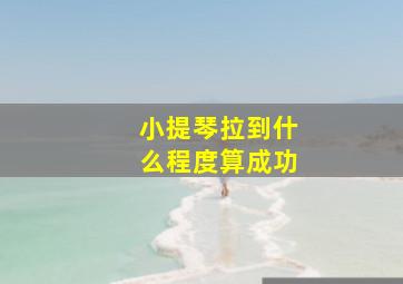 小提琴拉到什么程度算成功