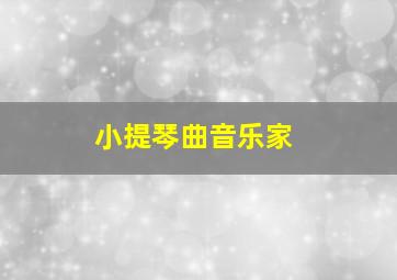 小提琴曲音乐家