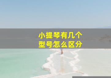 小提琴有几个型号怎么区分