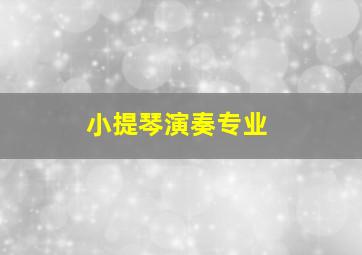 小提琴演奏专业