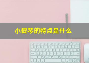 小提琴的特点是什么