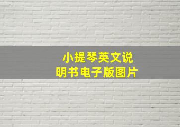 小提琴英文说明书电子版图片