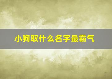 小狗取什么名字最霸气