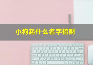 小狗起什么名字招财