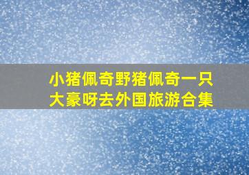 小猪佩奇野猪佩奇一只大豪呀去外国旅游合集