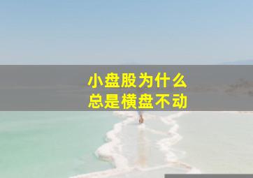 小盘股为什么总是横盘不动