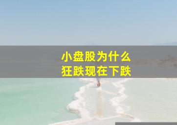 小盘股为什么狂跌现在下跌