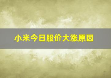 小米今日股价大涨原因