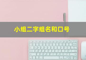 小组二字组名和口号