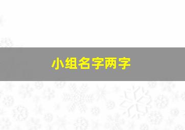 小组名字两字