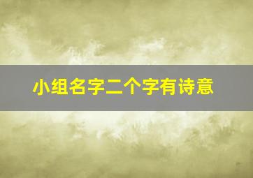 小组名字二个字有诗意