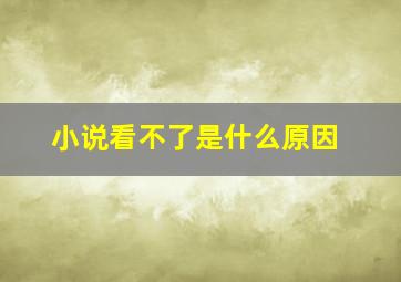 小说看不了是什么原因