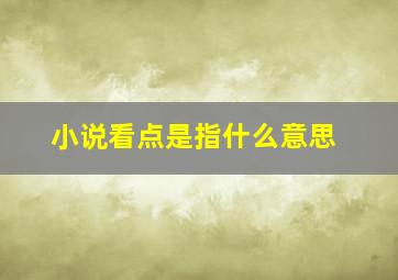 小说看点是指什么意思