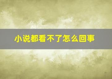 小说都看不了怎么回事