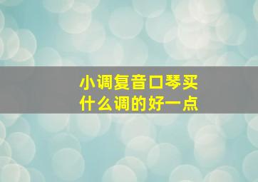 小调复音口琴买什么调的好一点