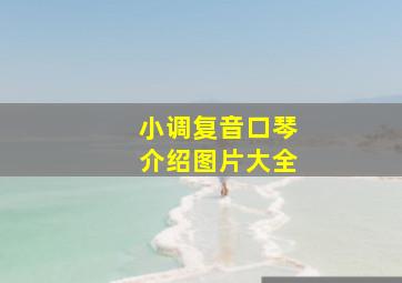 小调复音口琴介绍图片大全