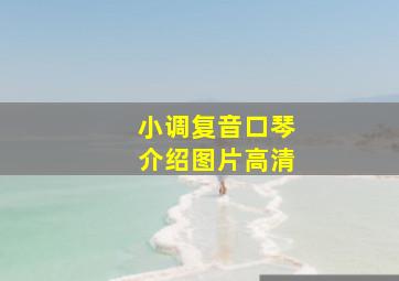 小调复音口琴介绍图片高清