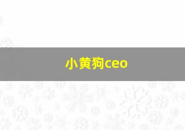 小黄狗ceo