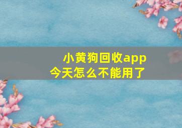 小黄狗回收app今天怎么不能用了