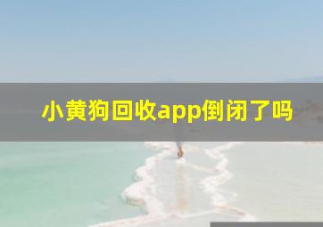 小黄狗回收app倒闭了吗