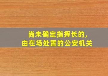 尚未确定指挥长的,由在场处置的公安机关