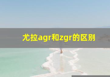 尤拉agr和zgr的区别