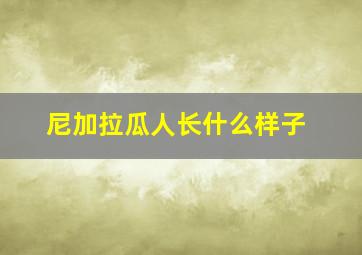 尼加拉瓜人长什么样子